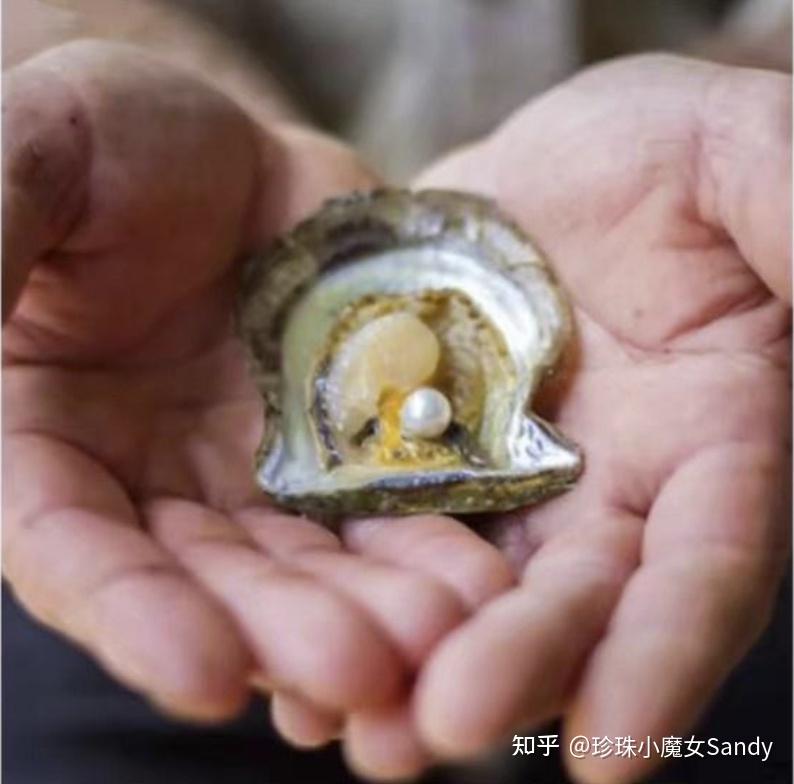 快速入门海水珍珠Akoya等级划分 - 知乎