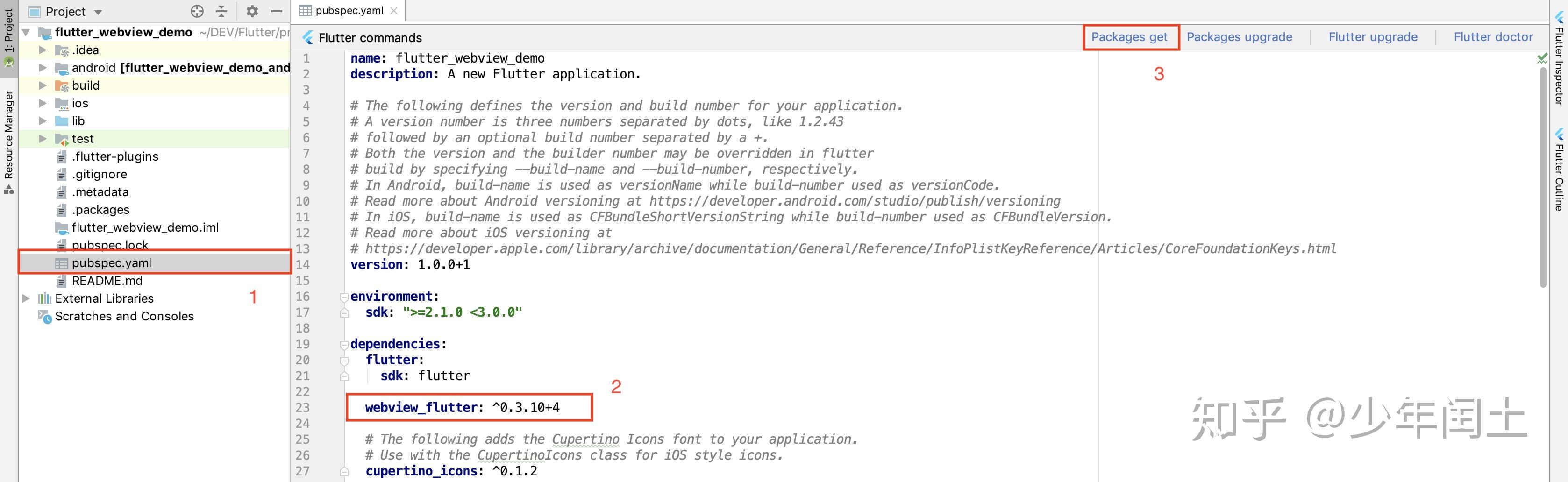  flutter webview 