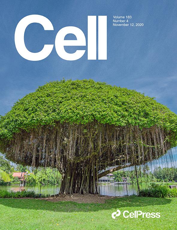 科学与艺术的结合！《CELL》100+张期刊封面鉴赏｜2020年篇 - 知乎