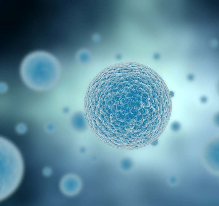 natmachintell深度学习识别单克隆细胞系