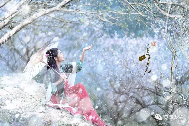 正月的花神她被认为是梅花精灵的化身从此寿阳公主的那段传奇这便是