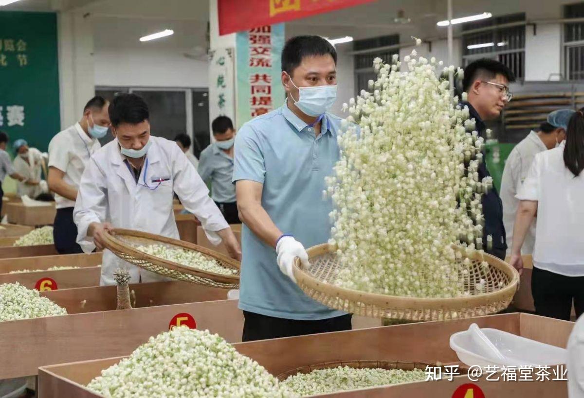 喜报艺福堂茶业李新旺荣获花茶类国茶人物制茶大师荣誉称号