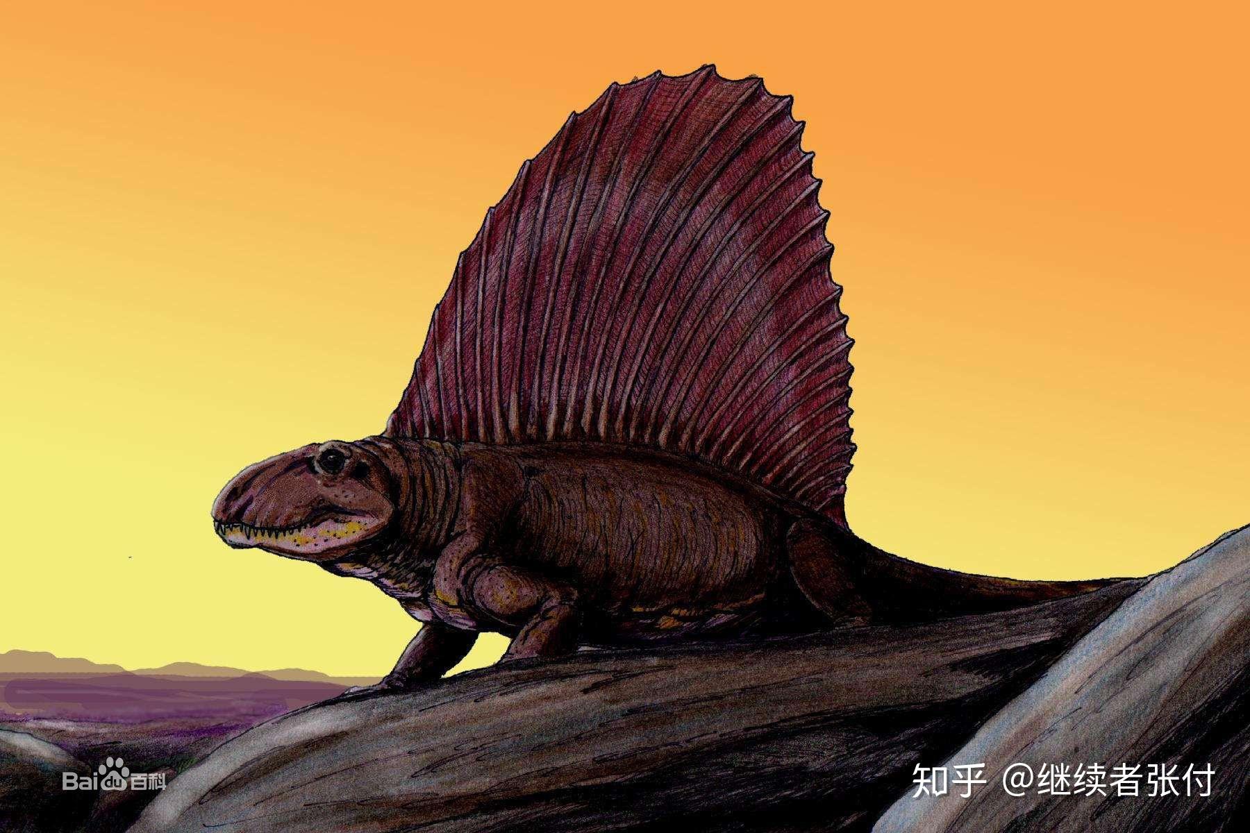 石炭纪后的二叠纪(距今2.9亿~2.