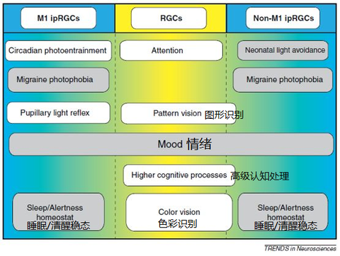 什么是「R90 睡眠法」，实际操作时应注意什么? - 知乎