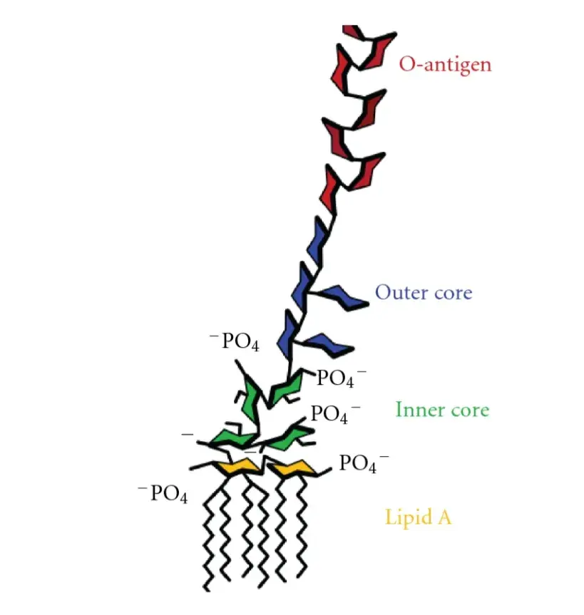 【菌周刊】| 大肠杆菌表达VLP疫苗：细菌内毒素的去除方法汇总（建议收藏） - 知乎