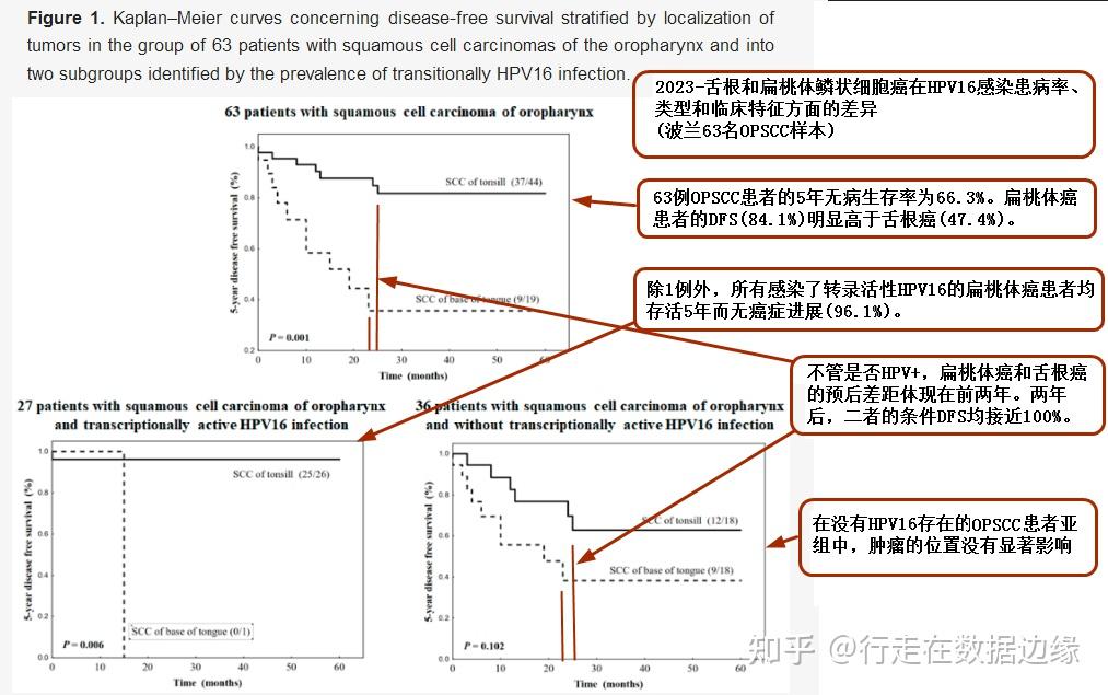 2023舌根和扁桃體鱗狀細胞癌在hpv16感染患病率類型和臨床特徵方面的