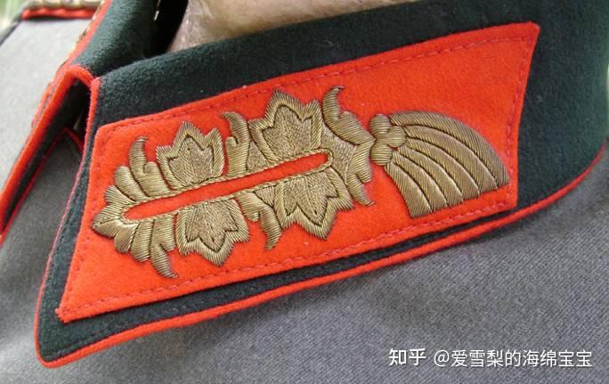 少将(generalmajor:领章为红色底板,上面用金线刺绣矢车菊图案.