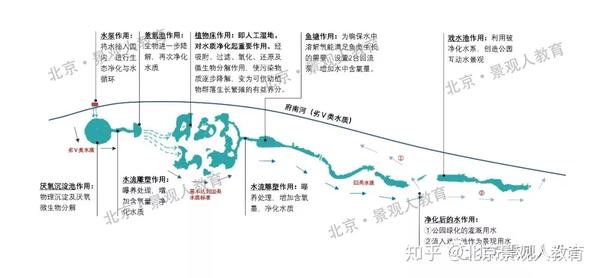 >生物降解>植物床湿地净化>水流雕塑曝氧>鱼塘>增加水中溶解氧Ⅲ类>