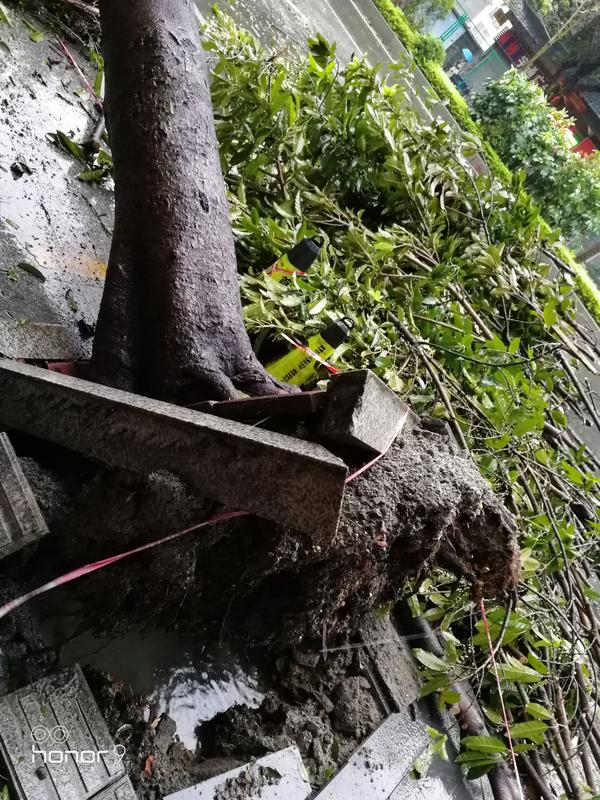 2018 年超强台风「山竹」有多可怕?