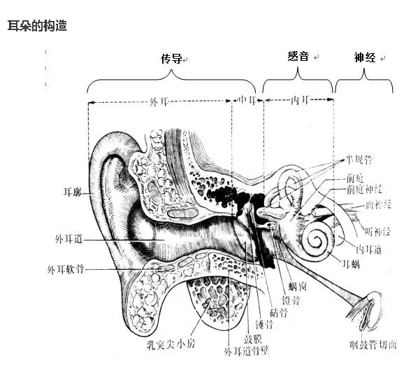 v2-2f6cf54a79b6e928076c74a6a9c8d604_1440w.jpg?source=172ae18b