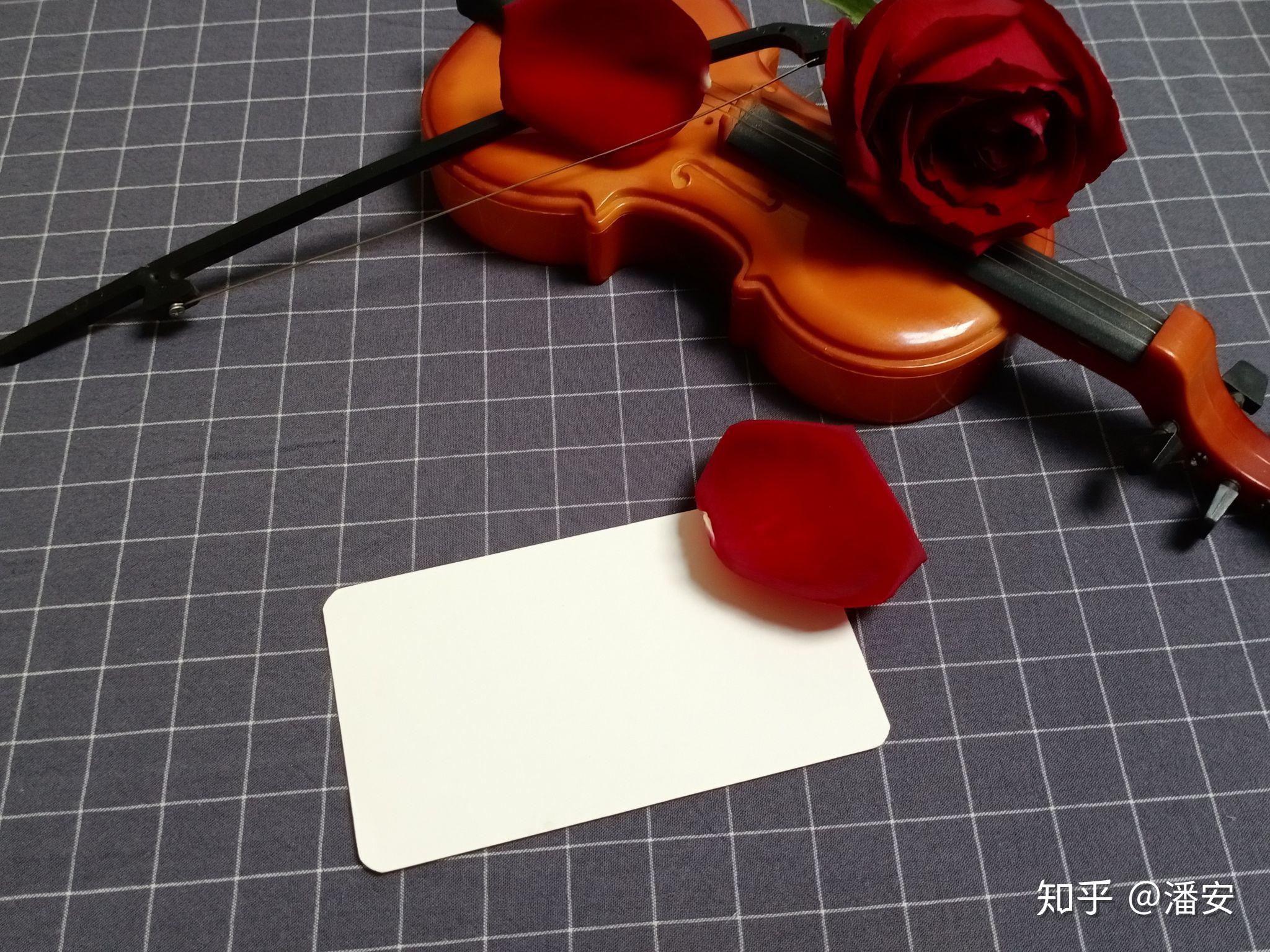 手写底图《玫瑰》