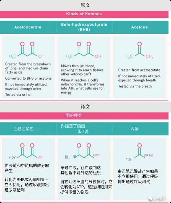 什么是酮? - 知乎