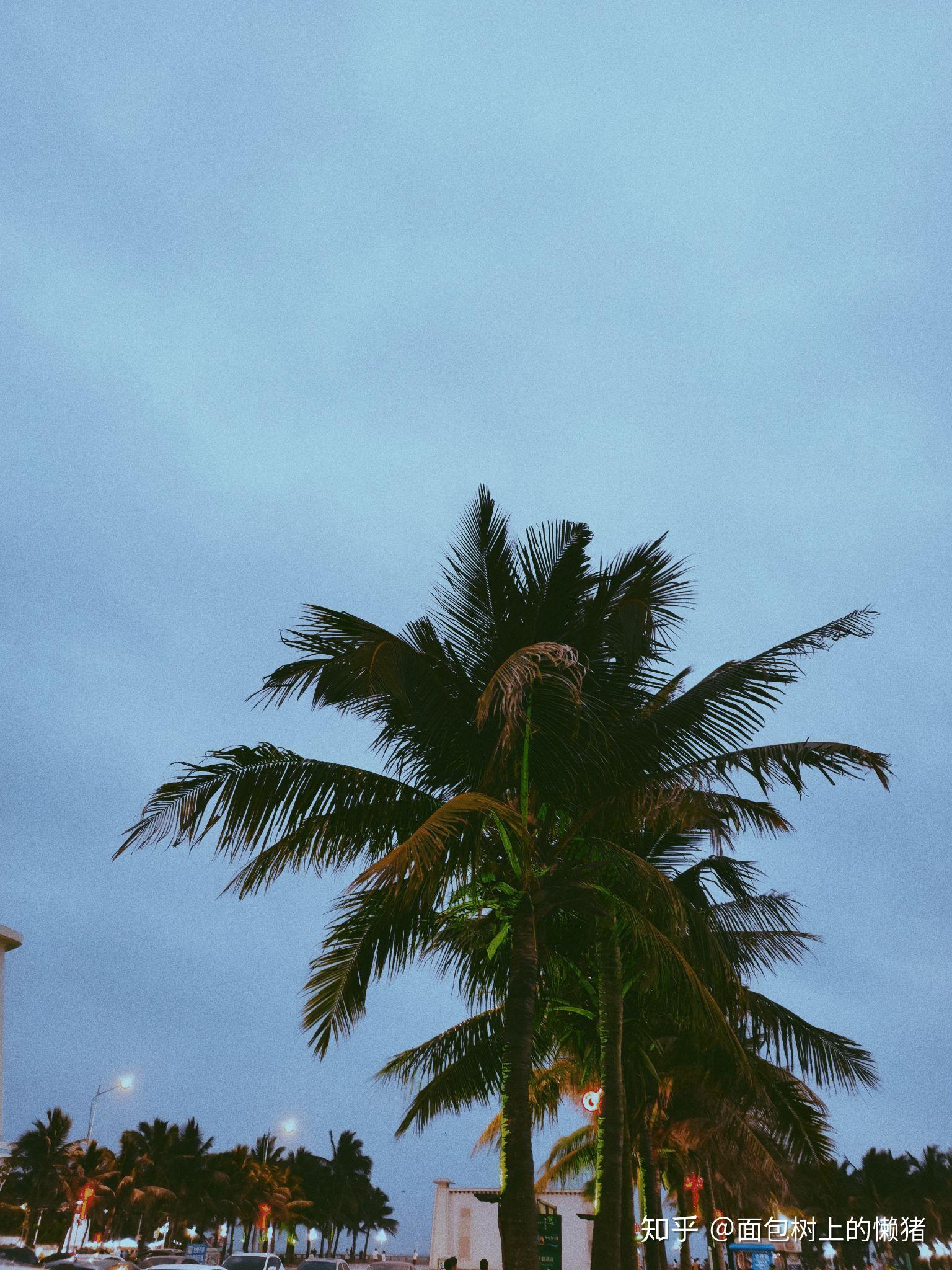 晚上吹海风去咯