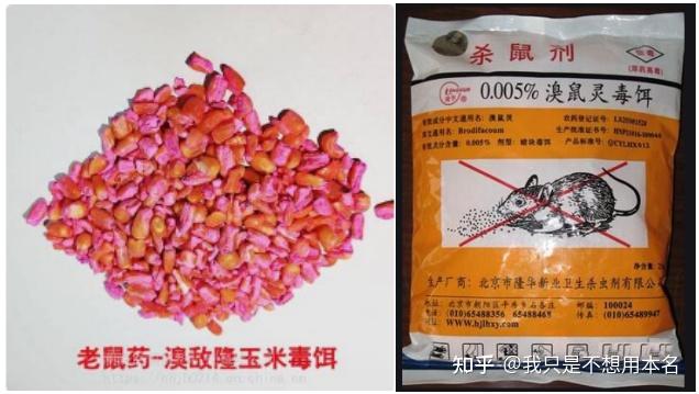 硫酸铊制备的老鼠药，在九十年代还存在吗？ - 知乎