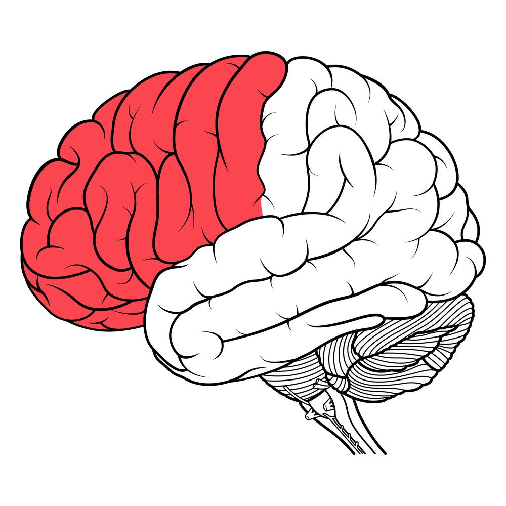 孩子太胖影响的不止身体,这些伤害你知道几个? 