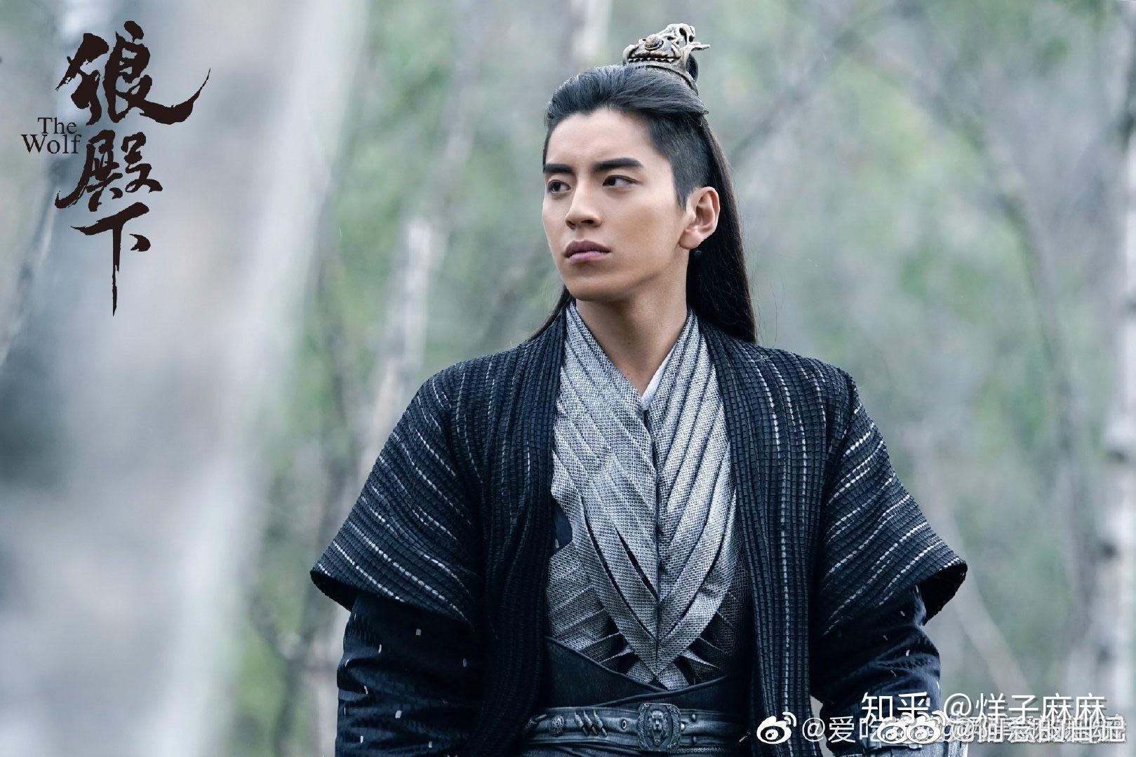 如何评价王大陆在电视剧狼殿下中的表现