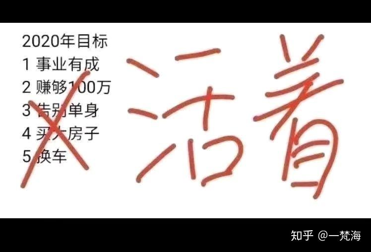 2020年的新年愿望就是活着就好
