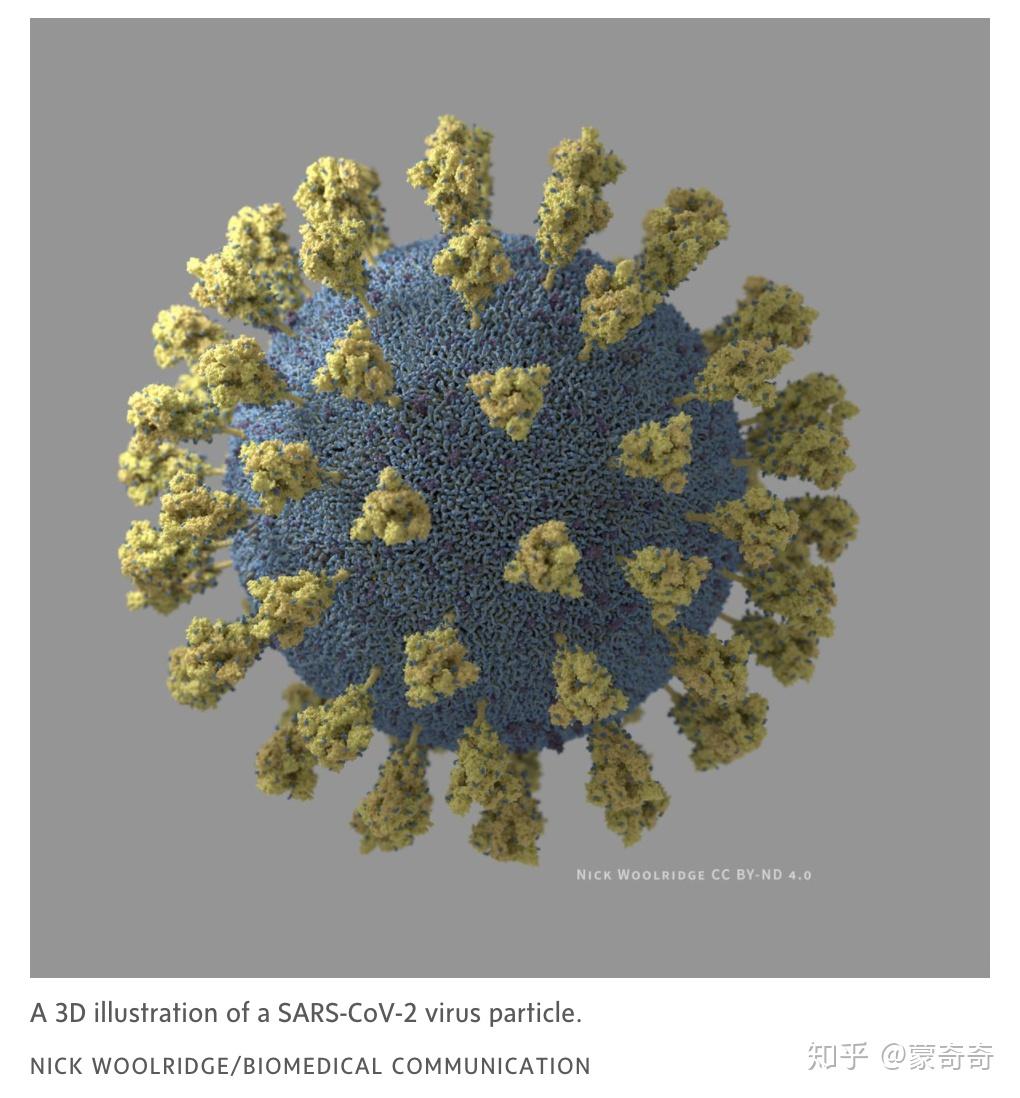 新冠变异超过3500种新毒株已改变传播方式加政府急发声明
