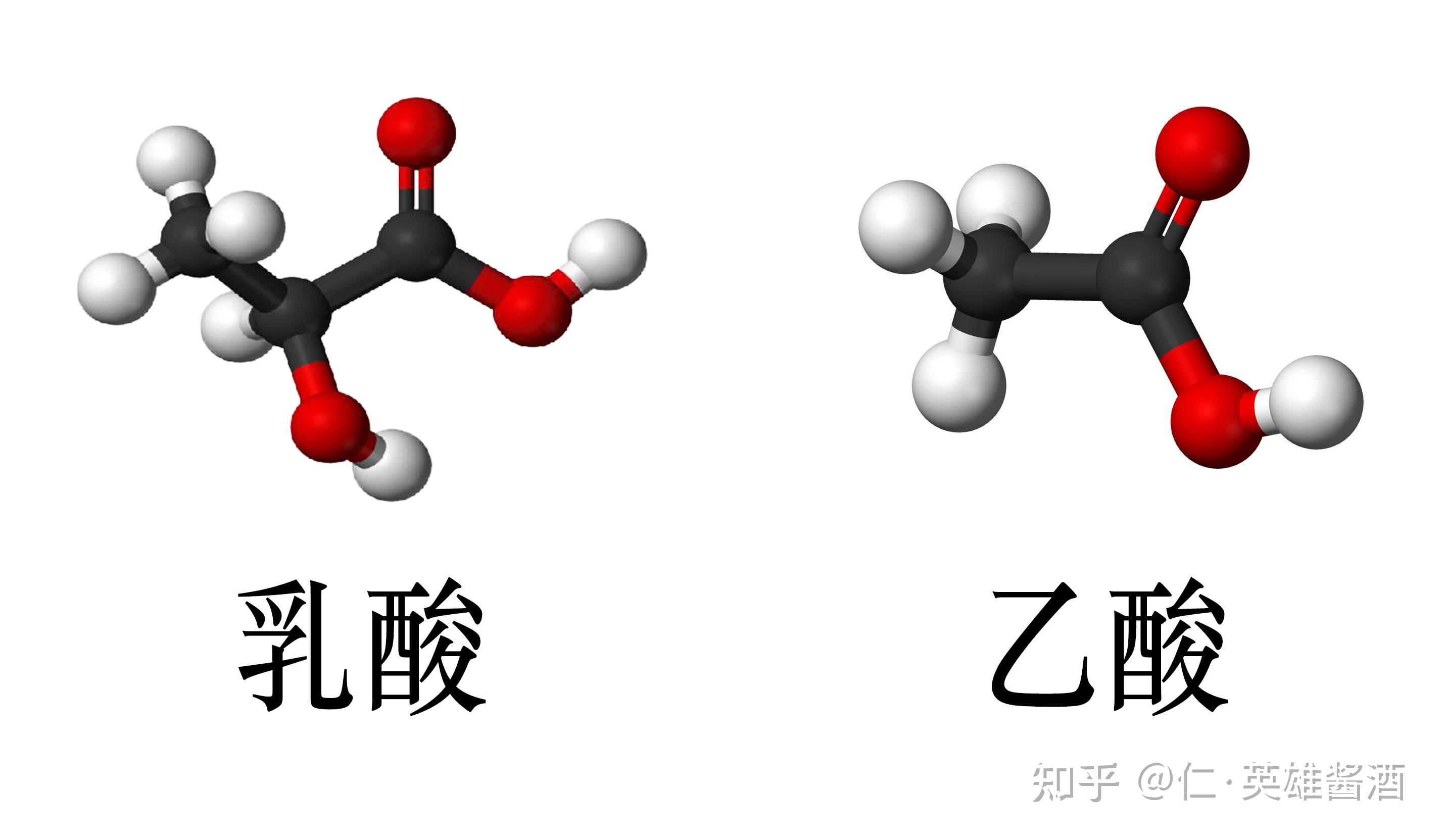 喝酱香型白酒,对身体有哪些好处?