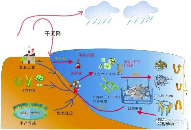 浒苔绿潮综合治理建议方案 - 知乎