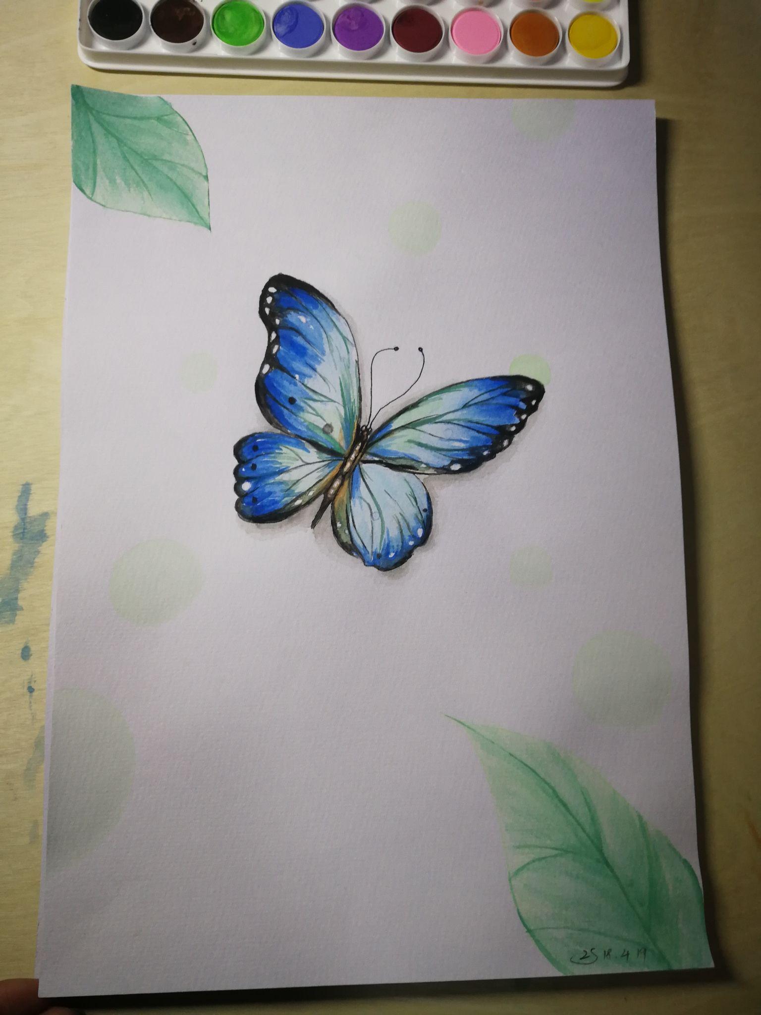 蝴蝶水彩画简单图片