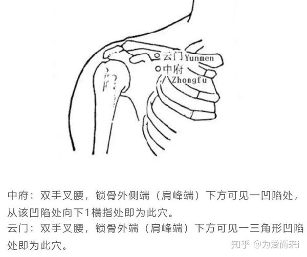 第一个重点区域:中府—云门穴