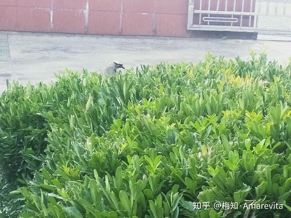 21年7月日是什么日子 年7月日是什么日 年7月是什么日子