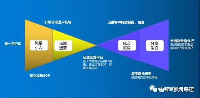 怎么提升自己的能量场 v2-2fe770e8a8d9095ede4a5e79e63acfe5_r.jpg