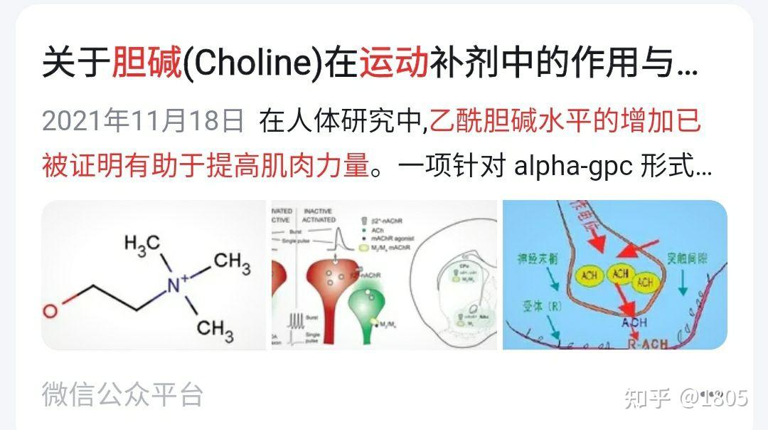 胆碱吸收度，功能，运动能力，代谢关联蛋白质蔬菜酶 大剂量谷氨酰胺需补充胆碱 维生素A 上皮强化 高纯度大豆卵磷脂的毒性 CDP胞二磷胆碱或α ...
