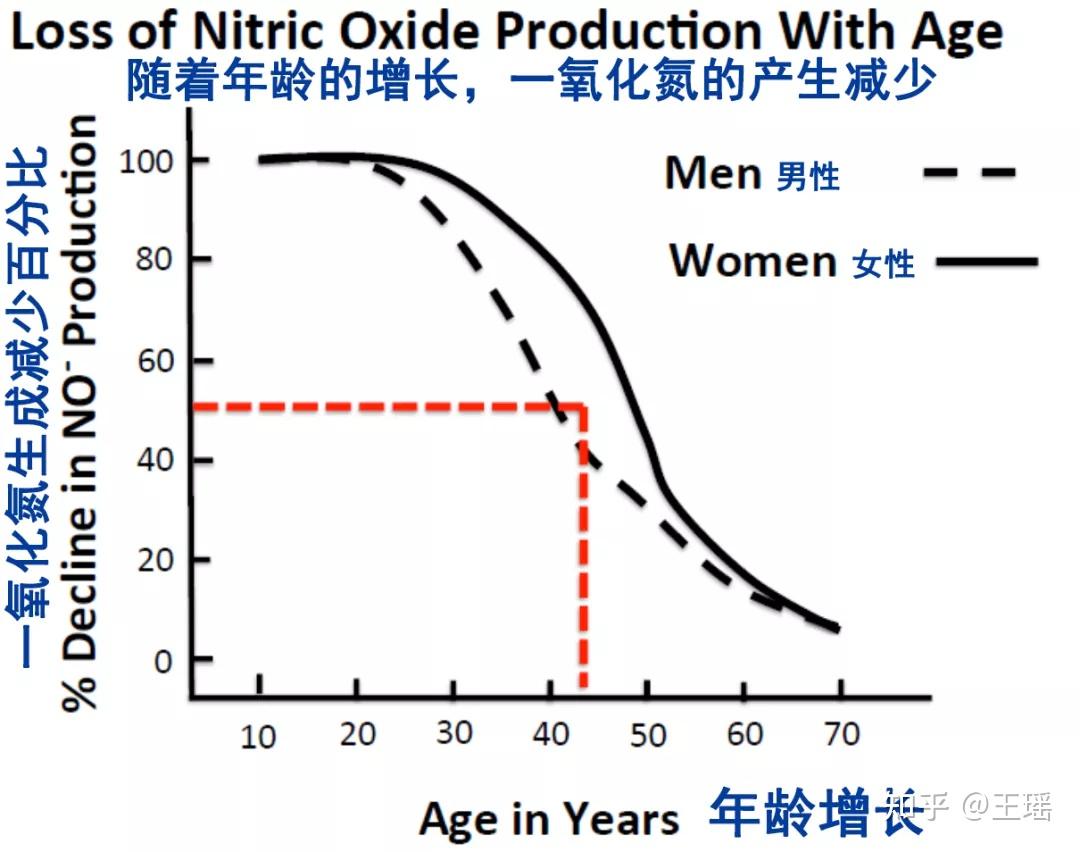 一氧化氮nitricoxide對中老年骨骼肌維持發展的作用