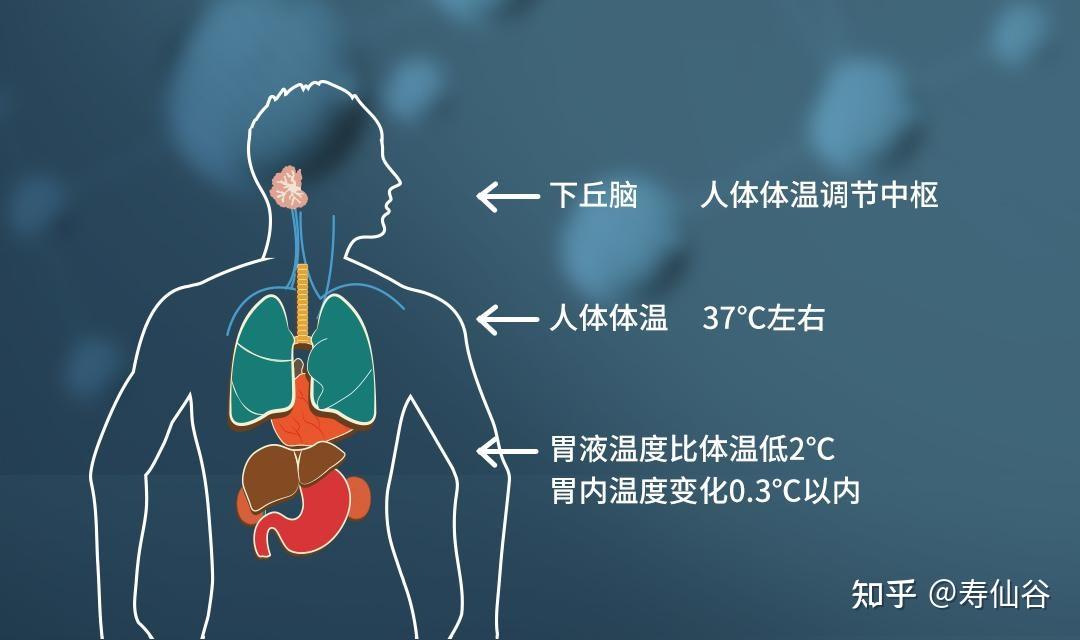 一到冬天就手脚冰凉,这几招教你改善“怕冷体质” - 知乎