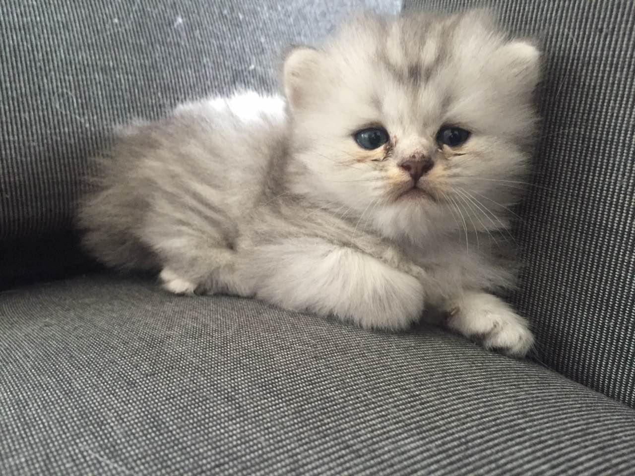 v2-300ad40e7bb4fd3cf149bcc91274cecd_r.jpg