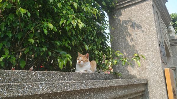 鼓浪屿旅游攻略_马尔代夫旅游 旺季_厦门鼓浪屿旅游旺季