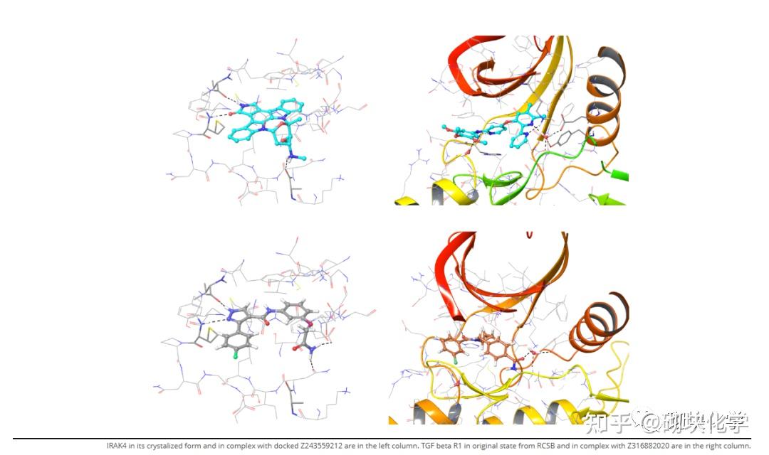 基于药物的设计——高质量分子库的重要性(27)Immuno-Oncology Library - 知乎