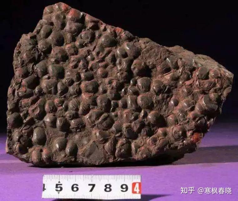 赭石是赤铁矿经过类似的方式炮制而成的矿物颜料,与朱砂相比,赭石的