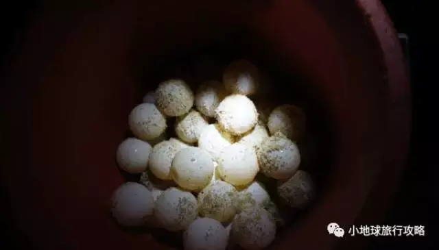 史上最好的沙巴小众旅行攻略，没有之一。