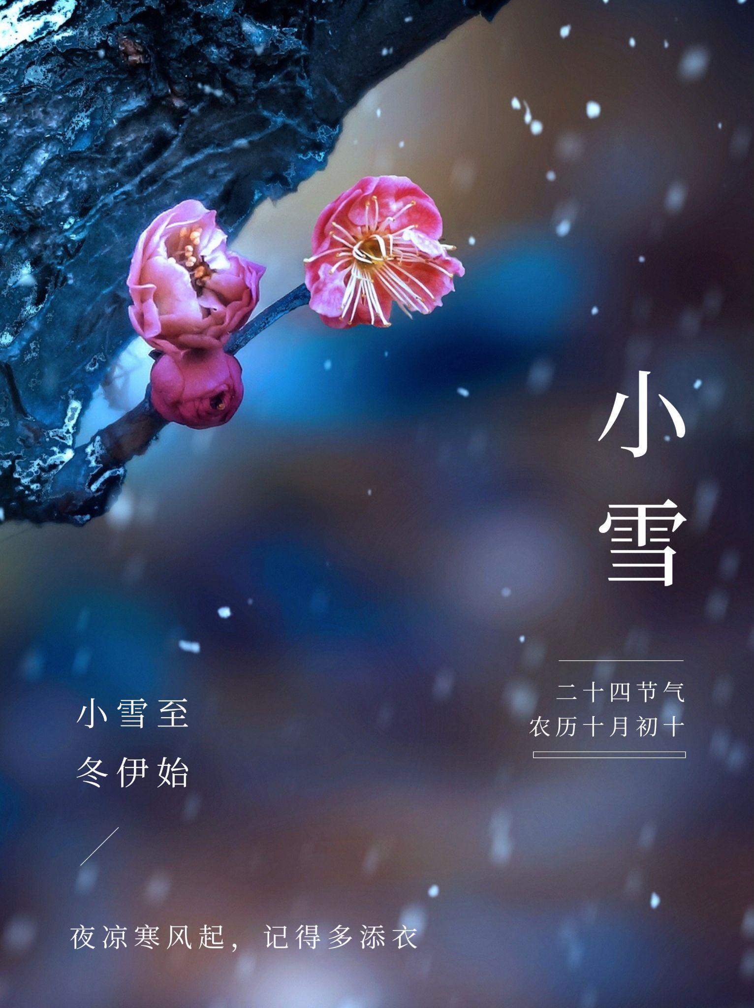 小雪节气文案