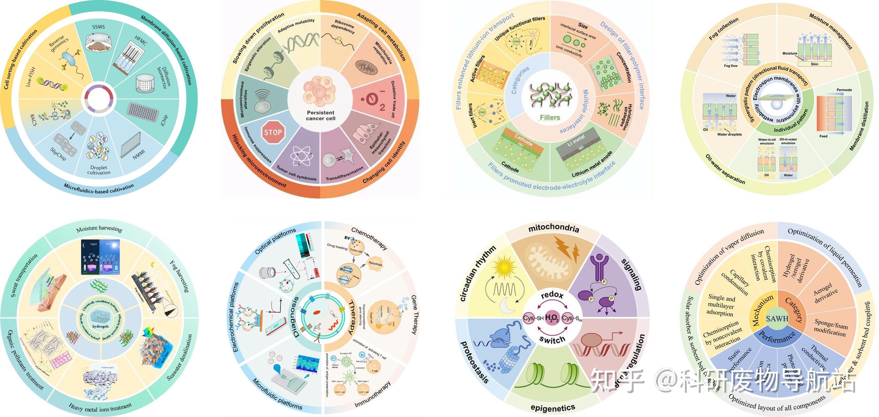 高阶科研绘图:不花钱买素材,纯靠PPT输出顶刊级综述图(附100+张综述图模板) - 知乎