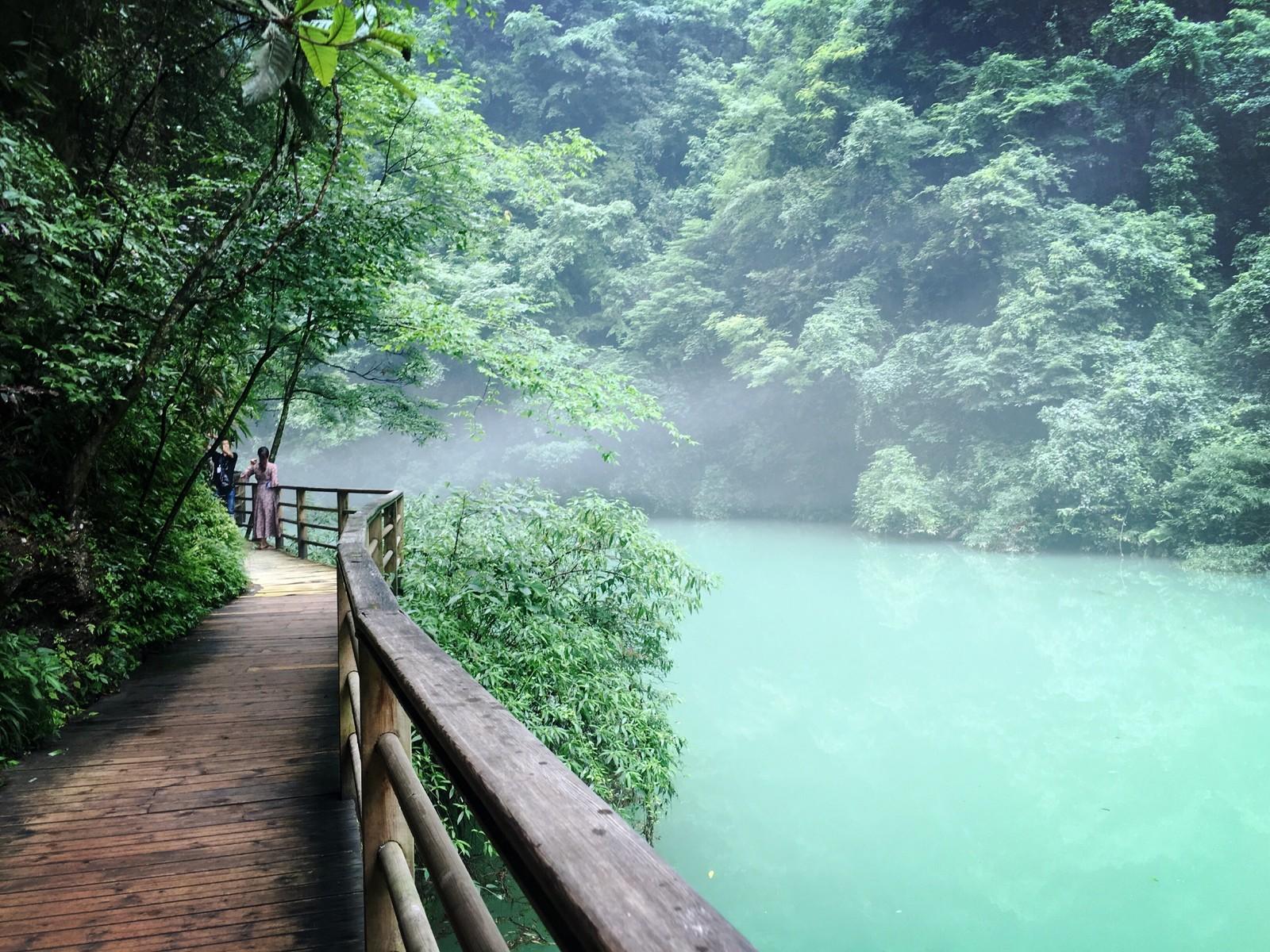 2020年实用的张家界自由行攻略，看完你会爱上它的! - 知乎