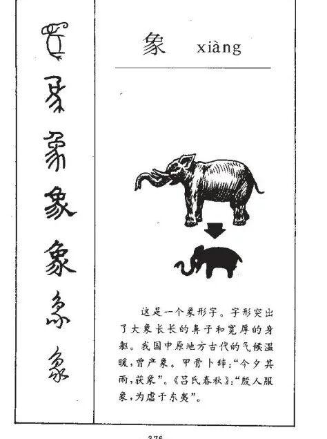 动物的名字大多是怎么来的比如为什么兔子叫兔子大象叫大象