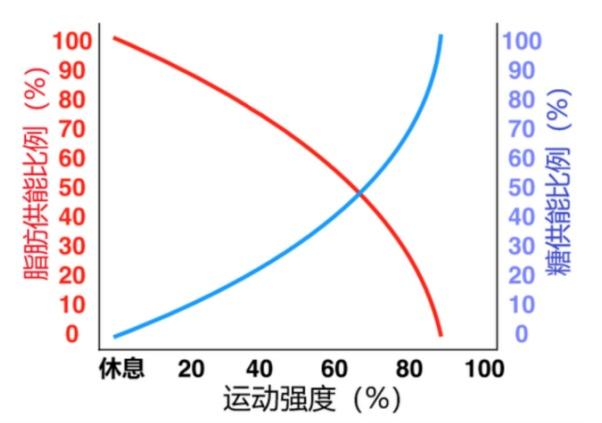 运动强度多大能燃烧更多脂肪呢?