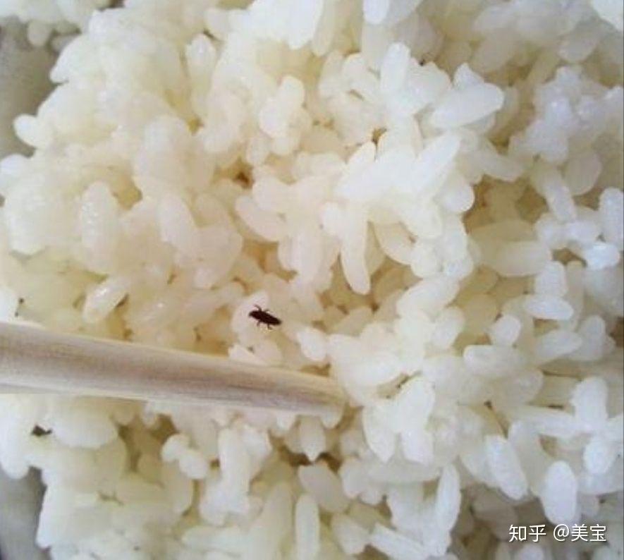 每日优鲜大米变质生虫