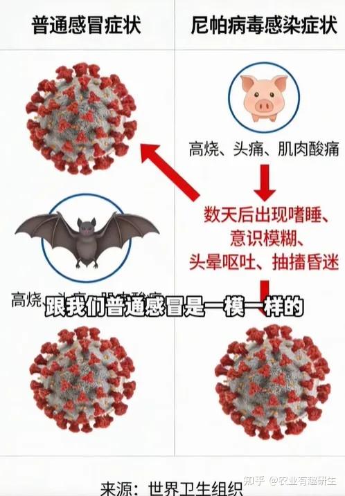  疫情病毒是什么类型的病毒(疫情病毒叫什么来着)