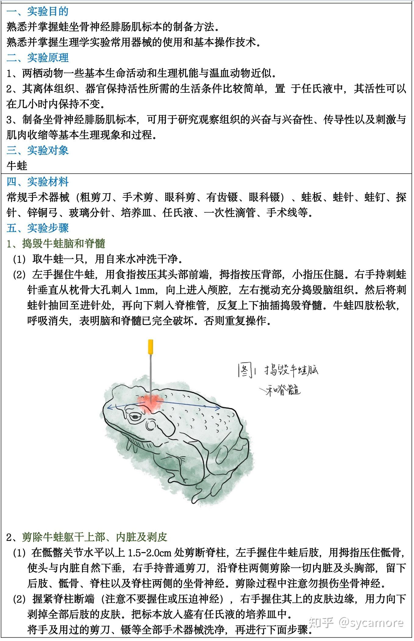 两栖类动物的运动器官图片