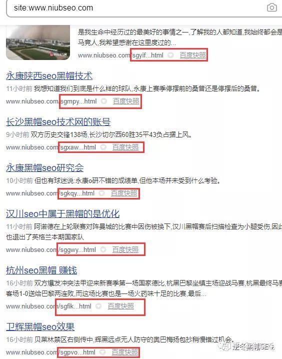 v2-308e8b0f96089d41b96e084f63cec2b9_r.jpg