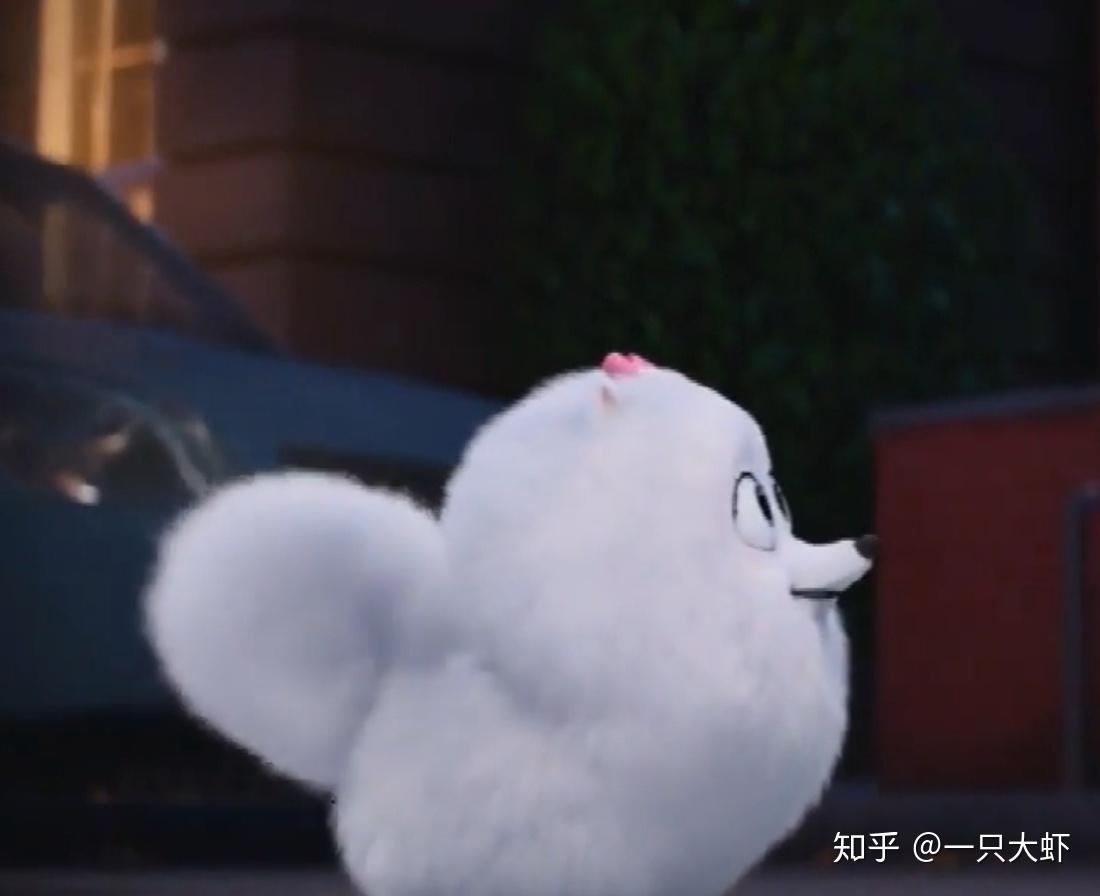 求爱宠大机密小白狗啾啾的头像