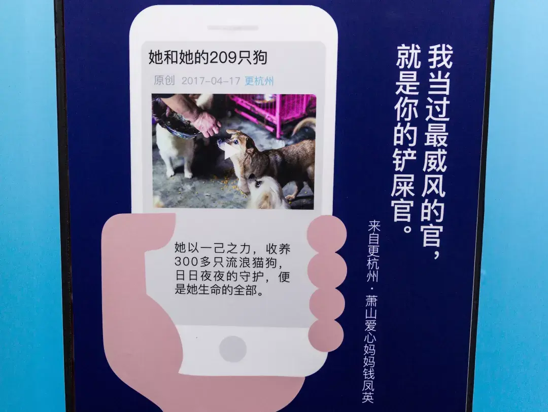 流浪猫文案图片