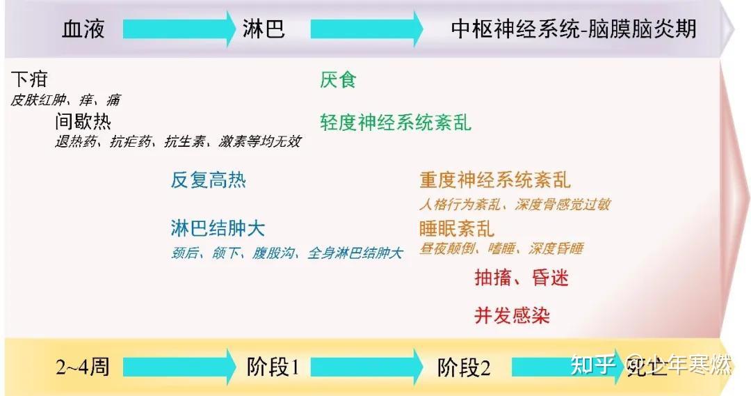 寒燃科普丨蛇年说蛇虫——这8类动物像蛇不是蛇！ - 知乎