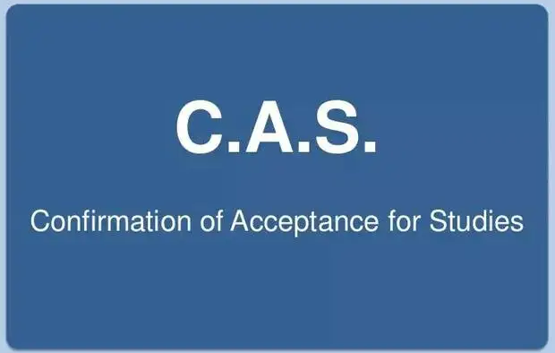 英国签证什么是cas