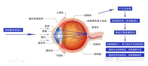 v2-30c9ebca16e6bc239e598c405f9038dd_r.jpg